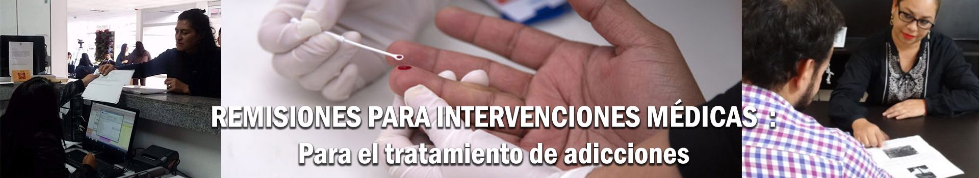 programa 6